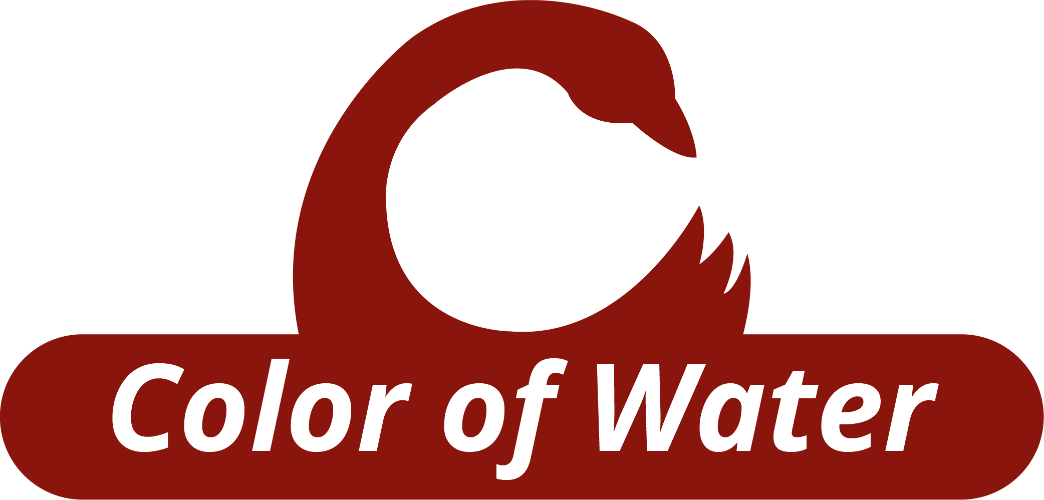 Color of Water Logo